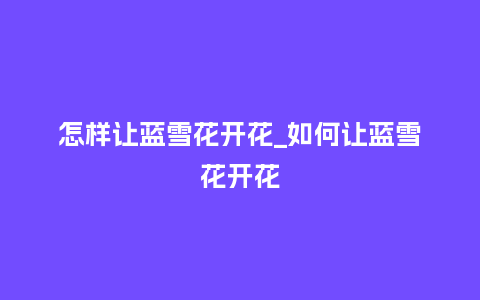 怎样让蓝雪花开花_如何让蓝雪花开花_鲜花知识_第1张_酷尚品 怎样让蓝雪花开花_如何让蓝雪花开花_https://www.kushangpin.com_鲜花知识_第1张