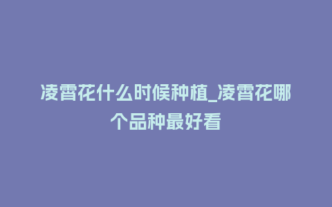 凌霄花什么时候种植_凌霄花哪个品种最好看_鲜花知识_第1张_酷尚品 凌霄花什么时候种植_凌霄花哪个品种最好看_http://www.kushangpin.com_鲜花知识_第1张