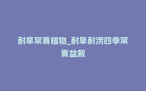 耐旱常青植物_耐旱耐涝四季常青盆栽_鲜花知识_第1张_酷尚品 耐旱常青植物_耐旱耐涝四季常青盆栽_http://www.kushangpin.com_鲜花知识_第1张