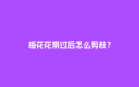 梅花花期过后怎么剪枝？_https://www.kushangpin.com_鲜花知识_第1张