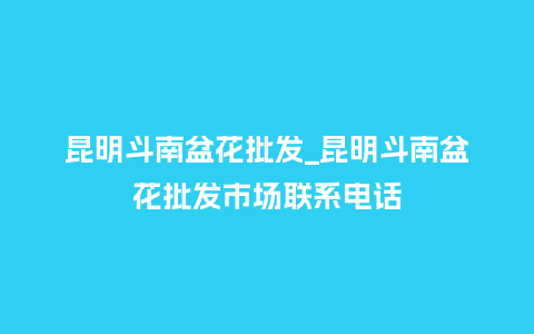 昆明斗南盆花批发_昆明斗南盆花批发市场联系电话_鲜花知识_第1张_酷尚品 昆明斗南盆花批发_昆明斗南盆花批发市场联系电话_http://www.kushangpin.com_鲜花知识_第1张