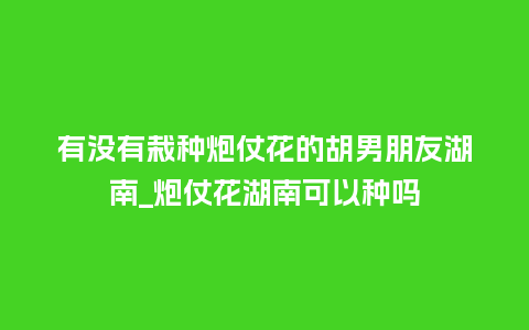 有没有栽种炮仗花的胡男朋友湖南_炮仗花湖南可以种吗_鲜花知识_第1张_酷尚品 有没有栽种炮仗花的胡男朋友湖南_炮仗花湖南可以种吗_http://www.kushangpin.com_鲜花知识_第1张