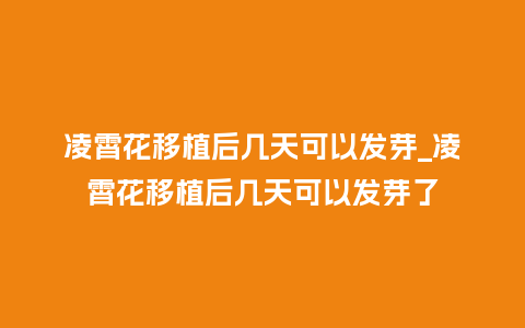 凌霄花移植后几天可以发芽_凌霄花移植后几天可以发芽了_鲜花知识_第1张_酷尚品 凌霄花移植后几天可以发芽_凌霄花移植后几天可以发芽了_http://www.kushangpin.com_鲜花知识_第1张