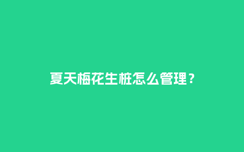 夏天梅花生桩怎么管理？_http://www.kushangpin.com_鲜花知识_第1张