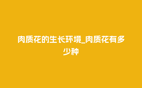肉质花的生长环境_肉质花有多少种_鲜花知识_第1张_酷尚品 肉质花的生长环境_肉质花有多少种_https://www.kushangpin.com_鲜花知识_第1张