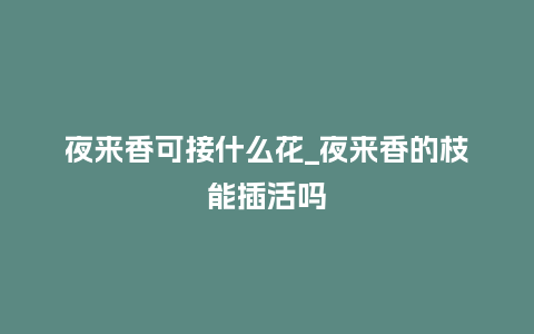 夜来香可接什么花_夜来香的枝能插活吗_鲜花知识_第1张_酷尚品 夜来香可接什么花_夜来香的枝能插活吗_http://www.kushangpin.com_鲜花知识_第1张