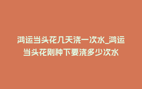 鸿运当头花几天浇一次水_鸿运当头花刚种下要浇多少次水_鲜花知识_第1张_酷尚品 鸿运当头花几天浇一次水_鸿运当头花刚种下要浇多少次水_http://www.kushangpin.com_鲜花知识_第1张