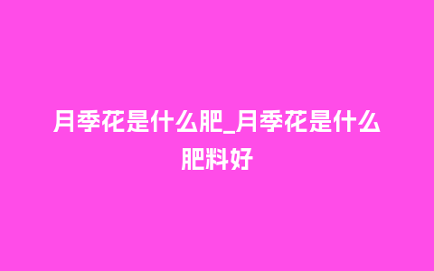 月季花是什么肥_月季花是什么肥料好_鲜花知识_第1张_酷尚品 月季花是什么肥_月季花是什么肥料好_https://www.kushangpin.com_鲜花知识_第1张