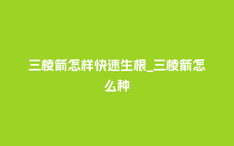 三棱箭怎样快速生根_三棱箭怎么种_鲜花知识_第1张_酷尚品 三棱箭怎样快速生根_三棱箭怎么种_http://www.kushangpin.com_鲜花知识_第1张
