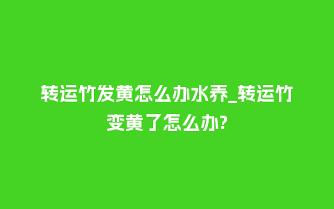 转运竹发黄怎么办水养_转运竹变黄了怎么办?_鲜花知识_第1张_酷尚品 转运竹发黄怎么办水养_转运竹变黄了怎么办?_http://www.kushangpin.com_鲜花知识_第1张