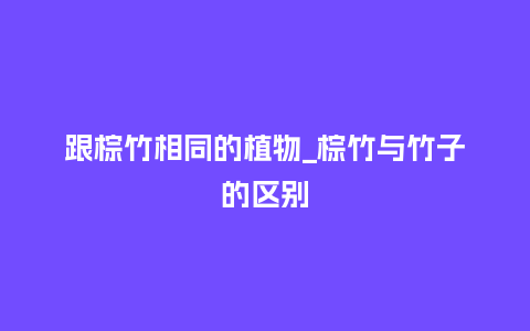 跟棕竹相同的植物_棕竹与竹子的区别_鲜花知识_第1张_酷尚品 跟棕竹相同的植物_棕竹与竹子的区别_http://www.kushangpin.com_鲜花知识_第1张