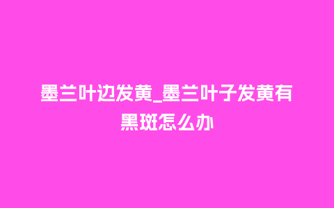 墨兰叶边发黄_墨兰叶子发黄有黑斑怎么办_鲜花知识_第1张_酷尚品 墨兰叶边发黄_墨兰叶子发黄有黑斑怎么办_https://www.kushangpin.com_鲜花知识_第1张
