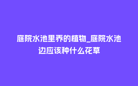 庭院水池里养的植物_庭院水池边应该种什么花草_鲜花知识_第1张_酷尚品 庭院水池里养的植物_庭院水池边应该种什么花草_https://www.kushangpin.com_鲜花知识_第1张
