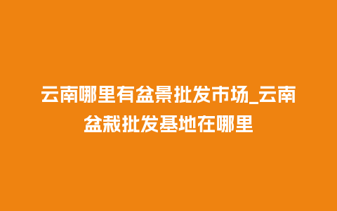 云南哪里有盆景批发市场_云南盆栽批发基地在哪里_鲜花知识_第1张_酷尚品 云南哪里有盆景批发市场_云南盆栽批发基地在哪里_https://www.kushangpin.com_鲜花知识_第1张