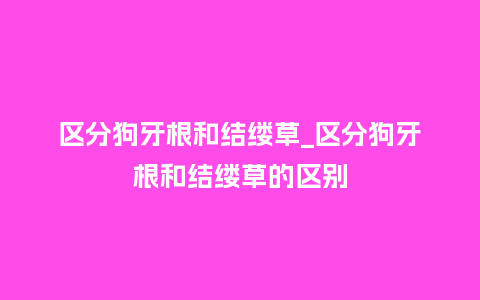 区分狗牙根和结缕草_区分狗牙根和结缕草的区别_http://www.kushangpin.com_鲜花知识_第1张