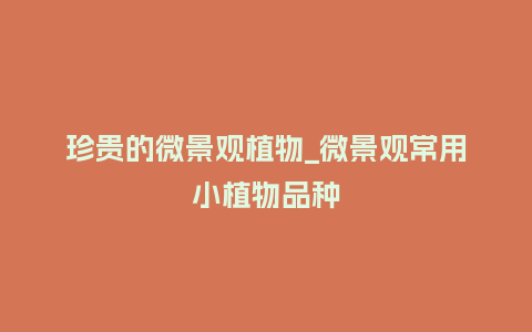 珍贵的微景观植物_微景观常用小植物品种_https://www.kushangpin.com_鲜花知识_第1张