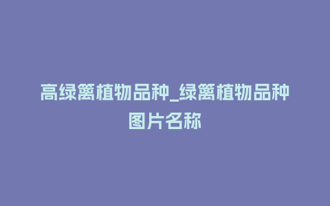 高绿篱植物品种_绿篱植物品种图片名称_鲜花知识_第1张_酷尚品 高绿篱植物品种_绿篱植物品种图片名称_http://www.kushangpin.com_鲜花知识_第1张