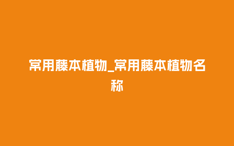 常用藤本植物_常用藤本植物名称_鲜花知识_第1张_酷尚品 常用藤本植物_常用藤本植物名称_https://www.kushangpin.com_鲜花知识_第1张
