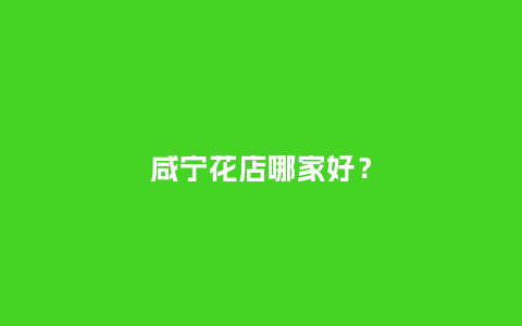咸宁花店哪家好？_https://www.kushangpin.com_送礼知识_第1张