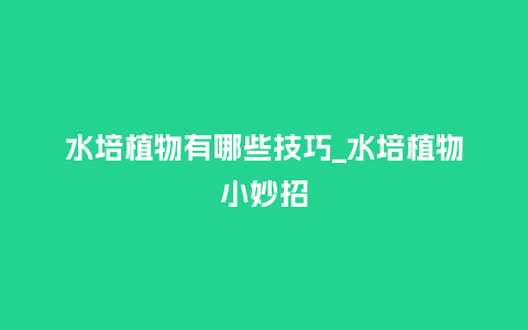 水培植物有哪些技巧_水培植物小妙招_http://www.kushangpin.com_鲜花知识_第1张