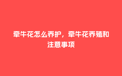 牵牛花怎么养护,牵牛花养殖和注意事项_鲜花知识_第1张_酷尚品 牵牛花怎么养护,牵牛花养殖和注意事项_https://www.kushangpin.com_鲜花知识_第1张