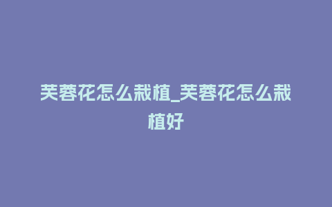 芙蓉花怎么栽植_芙蓉花怎么栽植好_鲜花知识_第1张_酷尚品 芙蓉花怎么栽植_芙蓉花怎么栽植好_https://www.kushangpin.com_鲜花知识_第1张