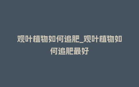 观叶植物如何追肥_观叶植物如何追肥最好_鲜花知识_第1张_酷尚品 观叶植物如何追肥_观叶植物如何追肥最好_http://www.kushangpin.com_鲜花知识_第1张