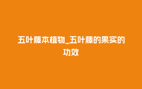 五叶藤本植物_五叶藤的果实的功效_鲜花知识_第1张_酷尚品 五叶藤本植物_五叶藤的果实的功效_https://www.kushangpin.com_鲜花知识_第1张