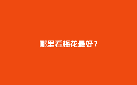 哪里看梅花最好?_鲜花知识_第1张_酷尚品 哪里看梅花最好?_https://www.kushangpin.com_鲜花知识_第1张