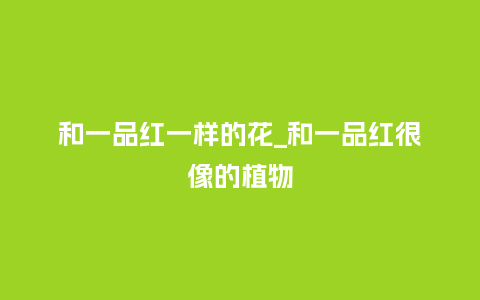 和一品红一样的花_和一品红很像的植物_鲜花知识_第1张_酷尚品 和一品红一样的花_和一品红很像的植物_http://www.kushangpin.com_鲜花知识_第1张