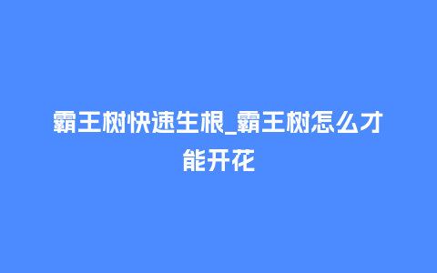 霸王树快速生根_霸王树怎么才能开花_鲜花知识_第1张_酷尚品 霸王树快速生根_霸王树怎么才能开花_http://www.kushangpin.com_鲜花知识_第1张