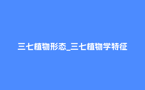 三七植物形态_三七植物学特征_鲜花知识_第1张_酷尚品 三七植物形态_三七植物学特征_https://www.kushangpin.com_鲜花知识_第1张