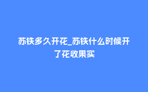 苏铁多久开花_苏铁什么时候开了花收果实_http://www.kushangpin.com_鲜花知识_第1张