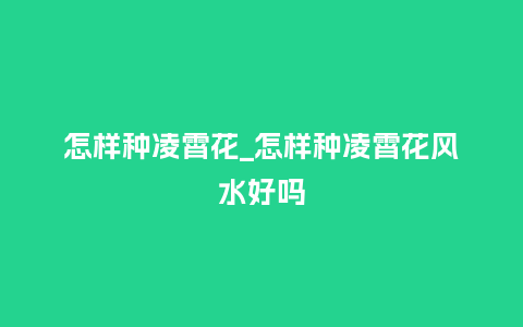 怎样种凌霄花_怎样种凌霄花风水好吗_鲜花知识_第1张_酷尚品 怎样种凌霄花_怎样种凌霄花风水好吗_http://www.kushangpin.com_鲜花知识_第1张