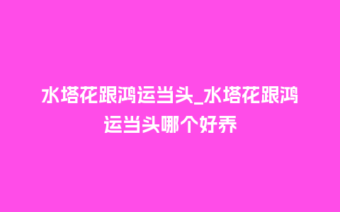 水塔花跟鸿运当头_水塔花跟鸿运当头哪个好养_鲜花知识_第1张_酷尚品 水塔花跟鸿运当头_水塔花跟鸿运当头哪个好养_http://www.kushangpin.com_鲜花知识_第1张