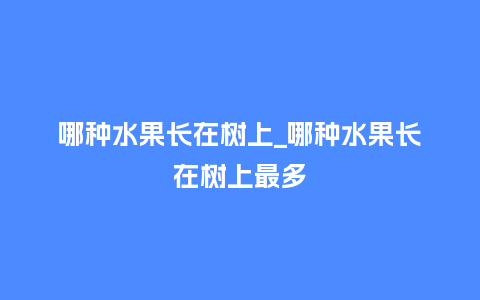 哪种水果长在树上_哪种水果长在树上最多_鲜花知识_第1张_酷尚品 哪种水果长在树上_哪种水果长在树上最多_https://www.kushangpin.com_鲜花知识_第1张