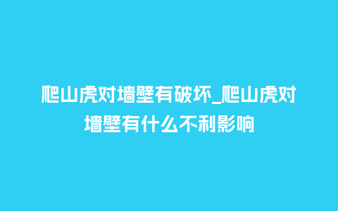 爬山虎对墙壁有破坏_爬山虎对墙壁有什么不利影响_鲜花知识_第1张_酷尚品 爬山虎对墙壁有破坏_爬山虎对墙壁有什么不利影响_http://www.kushangpin.com_鲜花知识_第1张