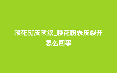 樱花树皮横纹_樱花树表皮裂开怎么回事_鲜花知识_第1张_酷尚品 樱花树皮横纹_樱花树表皮裂开怎么回事_https://www.kushangpin.com_鲜花知识_第1张