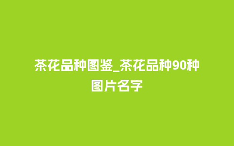 茶花品种图鉴_茶花品种90种图片名字_鲜花知识_第1张_酷尚品 茶花品种图鉴_茶花品种90种图片名字_http://www.kushangpin.com_鲜花知识_第1张
