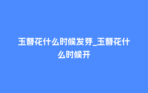 玉簪花什么时候发芽_玉簪花什么时候开_鲜花知识_第1张_酷尚品 玉簪花什么时候发芽_玉簪花什么时候开_https://www.kushangpin.com_鲜花知识_第1张