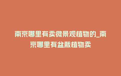 南京哪里有卖微景观植物的_南京哪里有盆栽植物卖_鲜花知识_第1张_酷尚品 南京哪里有卖微景观植物的_南京哪里有盆栽植物卖_https://www.kushangpin.com_鲜花知识_第1张