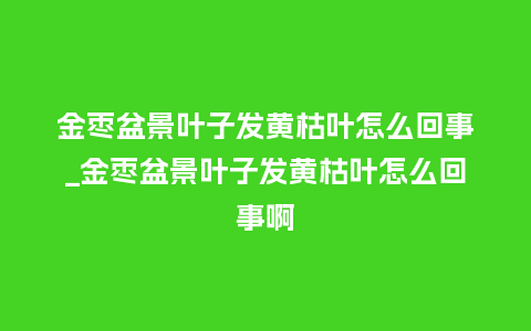 金枣盆景叶子发黄枯叶怎么回事_金枣盆景叶子发黄枯叶怎么回事啊_鲜花知识_第1张_酷尚品 金枣盆景叶子发黄枯叶怎么回事_金枣盆景叶子发黄枯叶怎么回事啊_http://www.kushangpin.com_鲜花知识_第1张