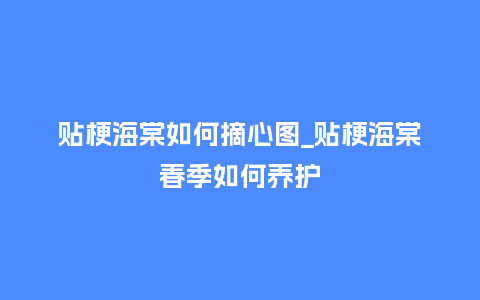 贴梗海棠如何摘心图_贴梗海棠春季如何养护_鲜花知识_第1张_酷尚品 贴梗海棠如何摘心图_贴梗海棠春季如何养护_http://www.kushangpin.com_鲜花知识_第1张