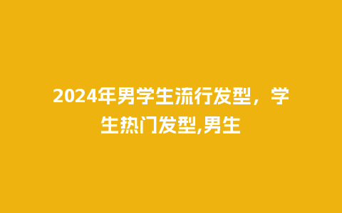2024年男学生流行发型，学生热门发型,男生_https://www.kushangpin.com_服装百科_第1张