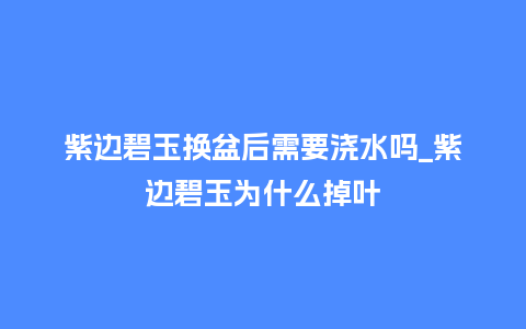 紫边碧玉换盆后需要浇水吗_紫边碧玉为什么掉叶_鲜花知识_第1张_酷尚品 紫边碧玉换盆后需要浇水吗_紫边碧玉为什么掉叶_https://www.kushangpin.com_鲜花知识_第1张