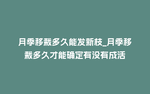 月季移栽多久能发新枝_月季移栽多久才能确定有没有成活_鲜花知识_第1张_酷尚品 月季移栽多久能发新枝_月季移栽多久才能确定有没有成活_http://www.kushangpin.com_鲜花知识_第1张