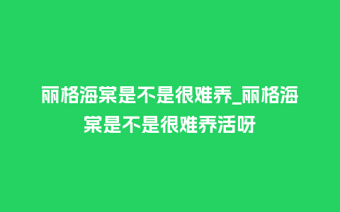 丽格海棠是不是很难养_丽格海棠是不是很难养活呀_鲜花知识_第1张_酷尚品 丽格海棠是不是很难养_丽格海棠是不是很难养活呀_https://www.kushangpin.com_鲜花知识_第1张