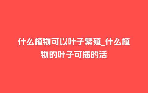 什么植物可以叶子繁殖_什么植物的叶子可插的活_鲜花知识_第1张_酷尚品 什么植物可以叶子繁殖_什么植物的叶子可插的活_https://www.kushangpin.com_鲜花知识_第1张