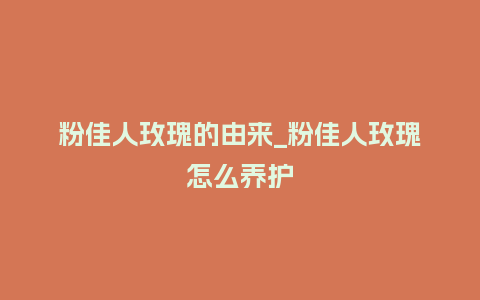 粉佳人玫瑰的由来_粉佳人玫瑰怎么养护_http://www.kushangpin.com_鲜花知识_第1张