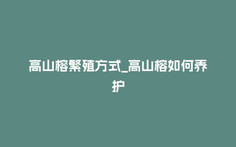 高山榕繁殖方式_高山榕如何养护_鲜花知识_第1张_酷尚品 高山榕繁殖方式_高山榕如何养护_https://www.kushangpin.com_鲜花知识_第1张